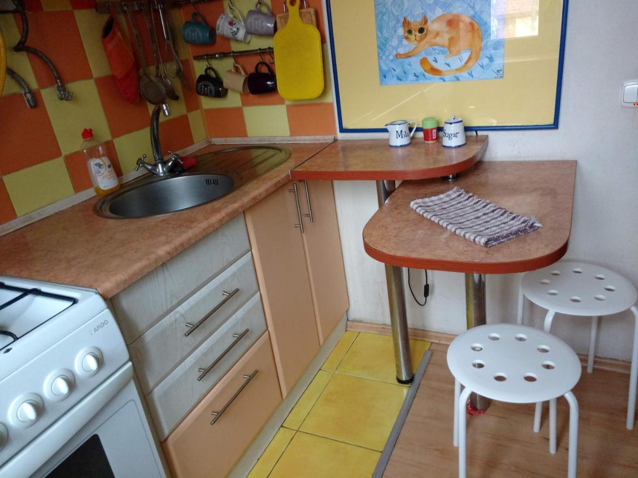 Three Bedroom Stepana Bandery Street Rivne Dış mekan fotoğraf